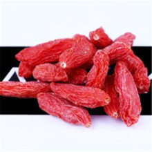 Ningxia dried miracle fruit goji berries Lycii fruit Ningxia gouqi